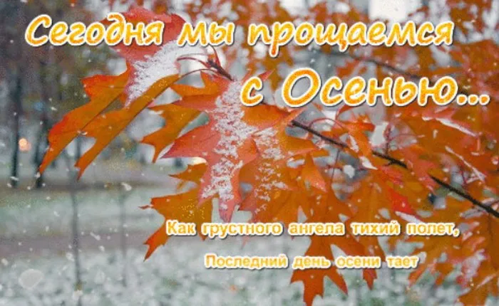 Картинки и открытки с последним днем осени. Красивые открытки с последним днём осени