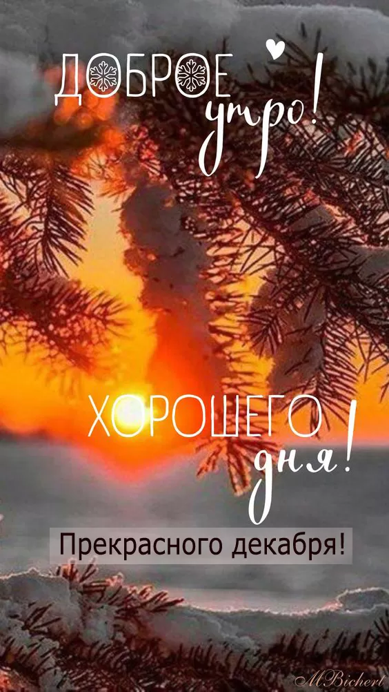 С добрым утром. Природа. | Доброе утро, Природа, Картинки