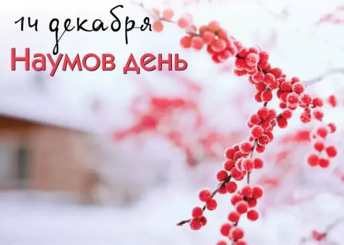 Открытки Наумов День 14 декабря. Открытки и гифки "Наумов День"