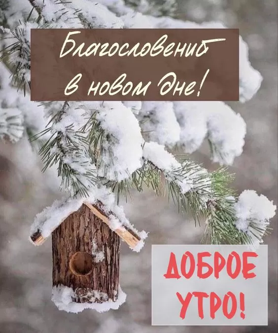 Зимние картинки Доброго утра и хорошего дня. Красивые картинки "Доброе утро и хорошего дня"