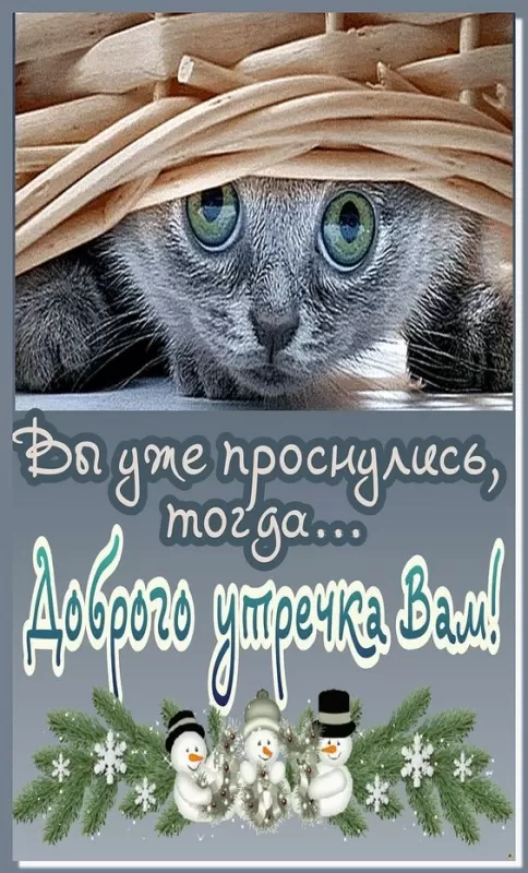 Прикольные и позитивные картинки Доброе утро. Позитивные картинки с Добрым утром