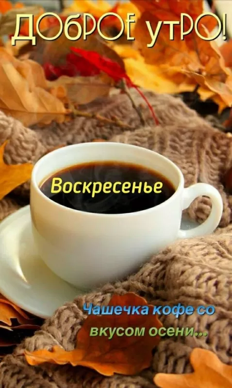 Картинки Доброе утро воскресенья. Красивые картинки Доброе утро воскресенье&nbsp;