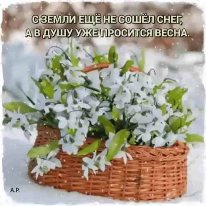 Картинки "Скоро весна" (80 штук). Скоро весна - картинки с пожеланиями