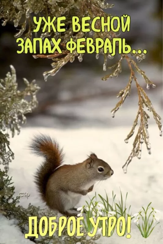 Картинки "Скоро весна" (80 штук). Скоро весна - картинки с пожеланиями