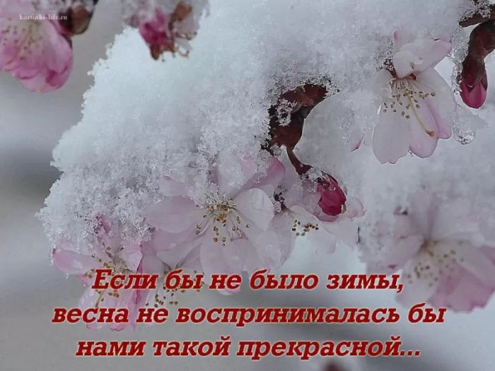 Картинки "Скоро весна" (80 штук). Скоро весна - картинки с пожеланиями
