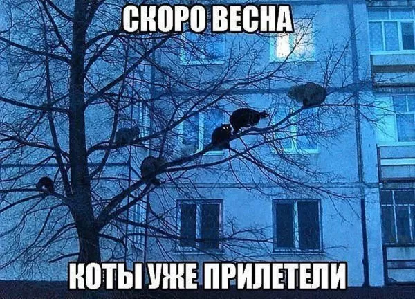 Картинки "Скоро весна" (80 штук). Прикольные картинки "Скоро весна"
