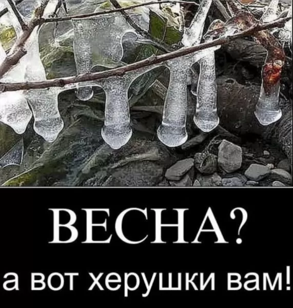 Картинки "Скоро весна" (80 штук). Прикольные картинки "Скоро весна"