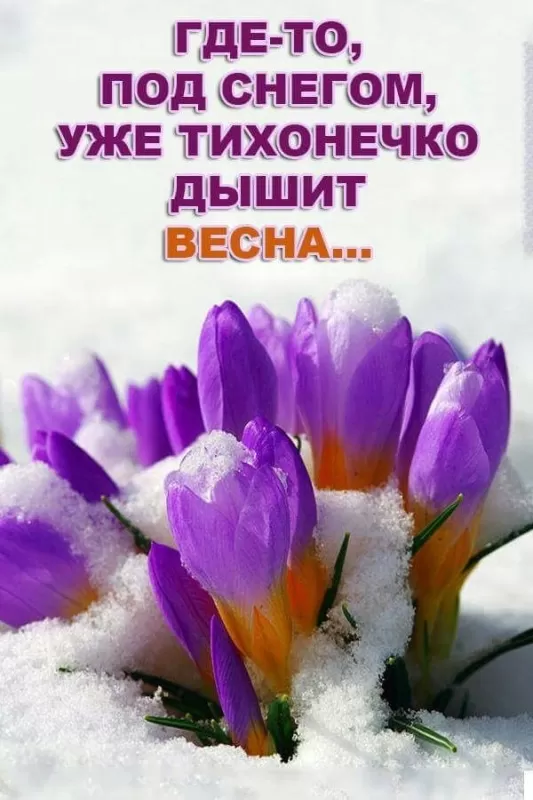 Картинки "Скоро весна" (80 штук). Скоро весна - картинки с пожеланиями