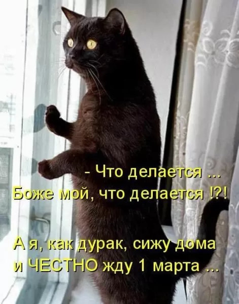 Картинки "Скоро весна" (80 штук). Прикольные картинки "Скоро весна"