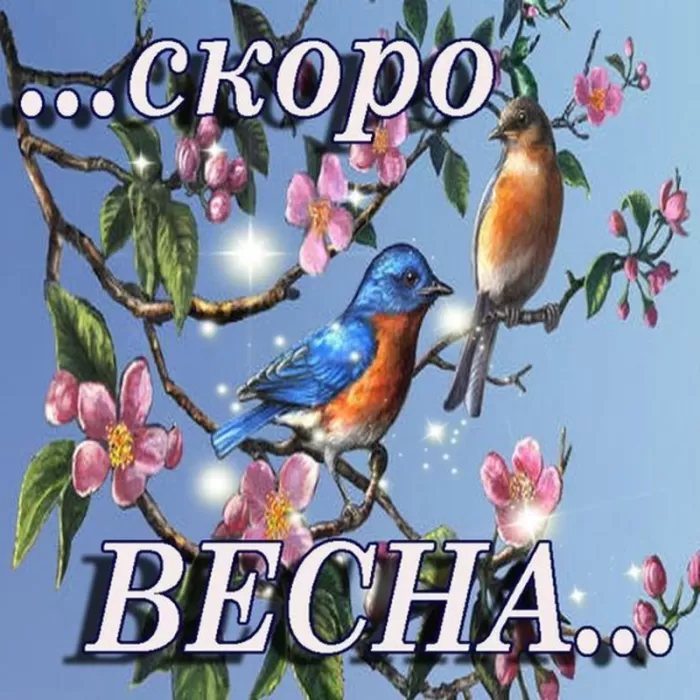 Картинки "Скоро весна" (70 штук). Скоро весна - картинки с пожеланиями