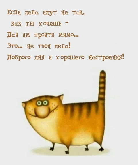 Картинки "Отличного настроения". Прикольные картинки Отличного настроения