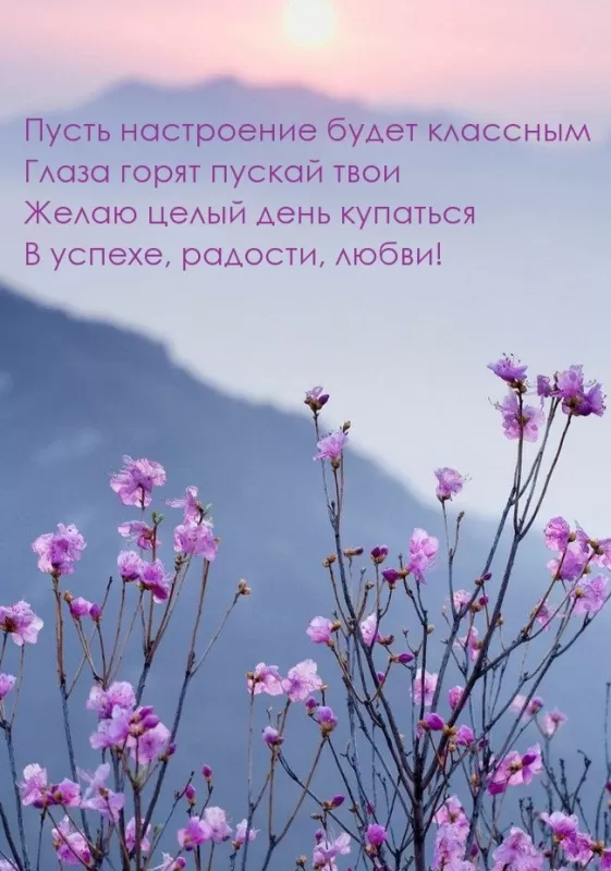 Картинки "Отличного настроения". Отличного настроения - картинки с пожеланиями