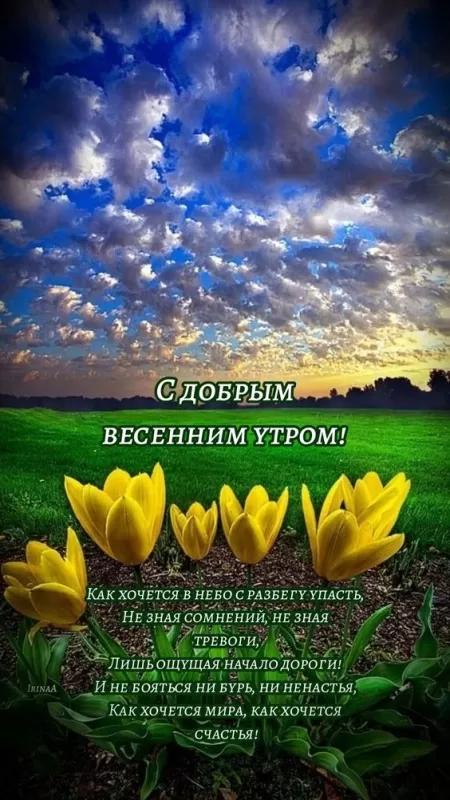 Красивые картинки с Добрым весенним утром. Доброго весеннего утра - картинки с пожеланиями