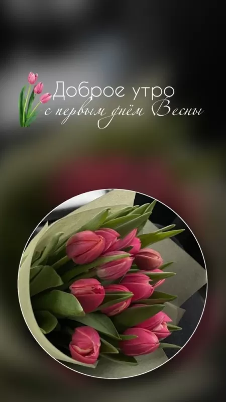 Картинки с Первым днем весны. С первым днем весны - картинки новые