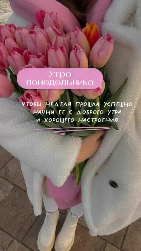 Картинки "Доброе утро понедельника". Красивые картинки "Доброе утро понедельник"