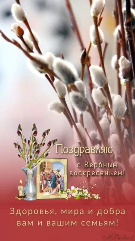 70+ открыток с Вербным Воскресеньем 2024. Красивые открытки с Вербным Воскресеньем