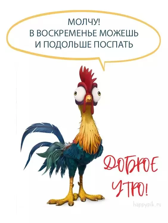 Картинки с Добрым утром воскресенья. Прикольные картинки с Добрым утром воскресенья