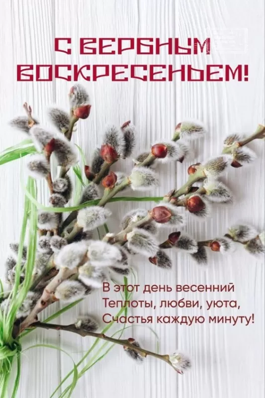 Прикольные картинки с Вербным Воскресеньем . С Вербным Воскресеньем - прикольные картинки с пожеланиями