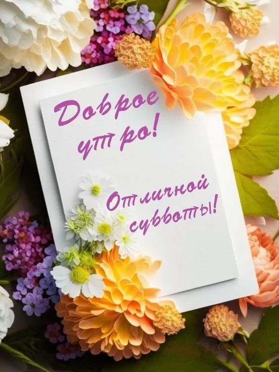 Прикольные картинки Доброе утро субботы. Картинки Доброе утро субботы прикольные