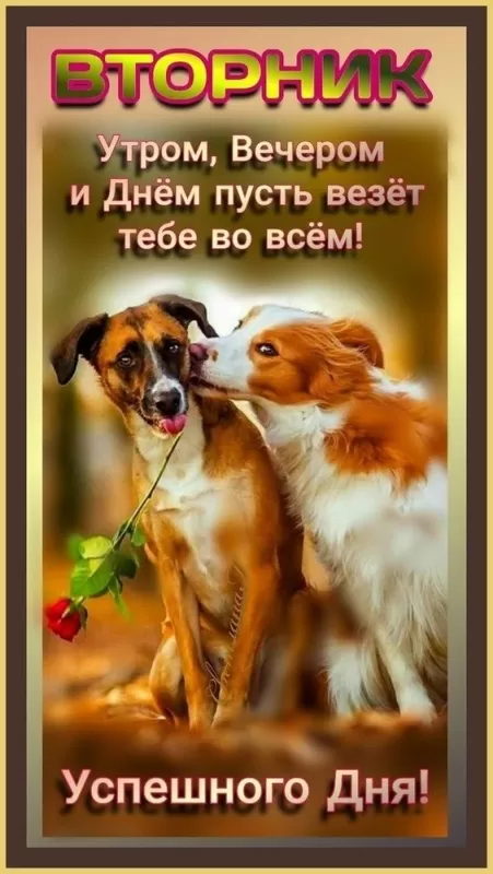 Картинки Доброе утро вторника. Красивые картинки Доброе утро вторника