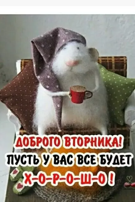 Картинки Доброе утро вторника. Прикольные картинки "Доброе утро вторника"