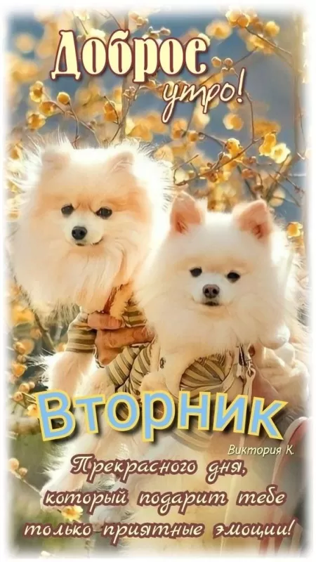 Картинки Доброе утро вторника. Красивые картинки Доброе утро вторника