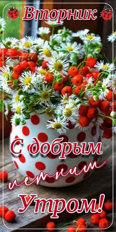 Картинки Доброе утро вторника. Красивые картинки Доброе утро вторника