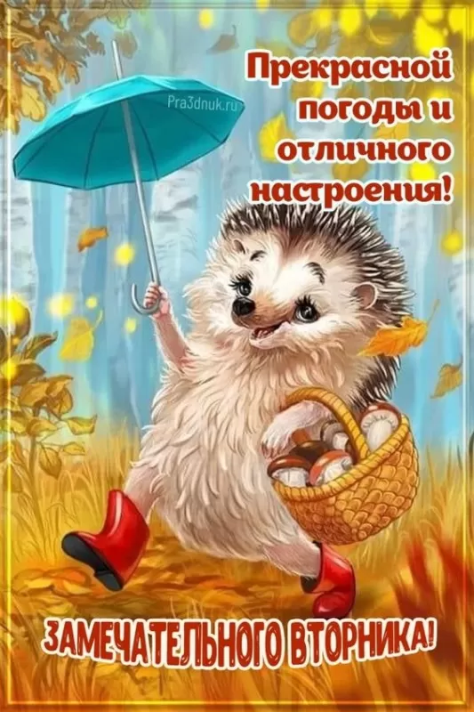 Картинки Доброе утро вторника. Прикольные картинки "Доброе утро вторника"