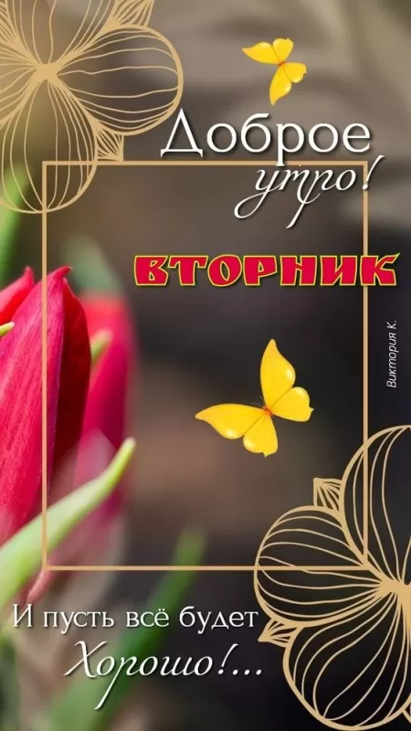 Картинки Доброе утро вторника. Красивые картинки Доброе утро вторника