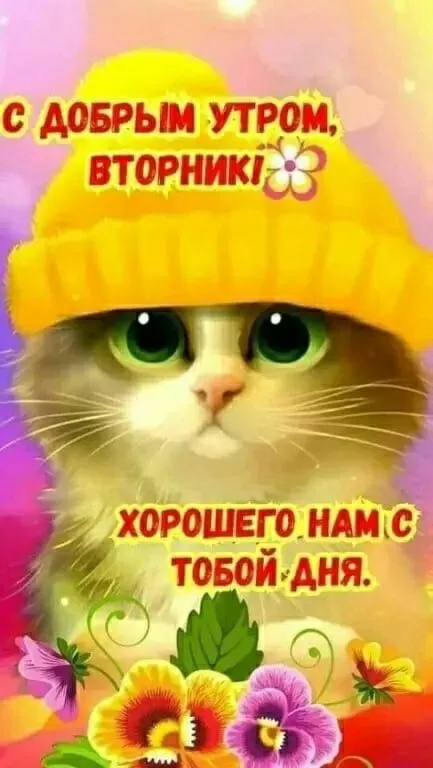 Картинки Доброе утро вторника. Прикольные картинки "Доброе утро вторника"