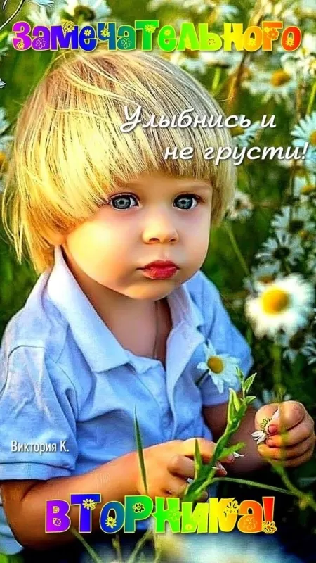 Картинки Доброе утро вторника. Красивые картинки Доброе утро вторника