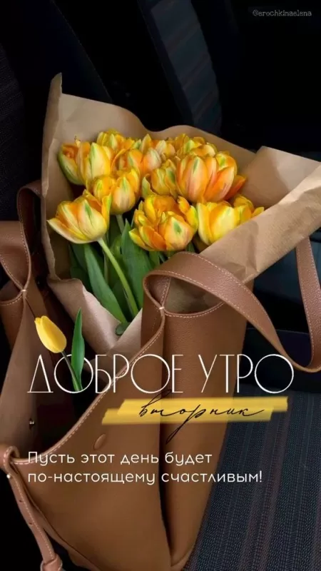 Картинки Доброе утро вторника. Картинки "С добрым утром вторника" красивые