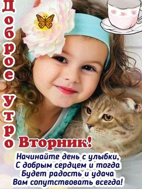 Картинки Доброе утро вторника. Прикольные картинки "Доброе утро вторника"