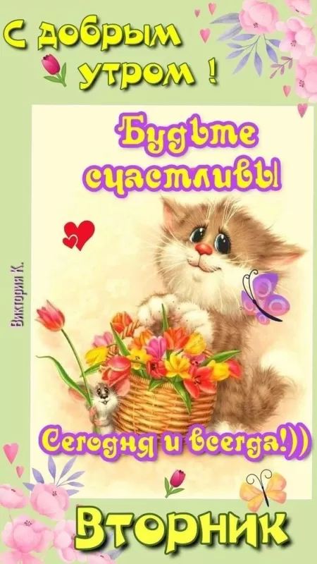 Картинки Доброе утро вторника. Доброе утро вторника - картинки позитивные