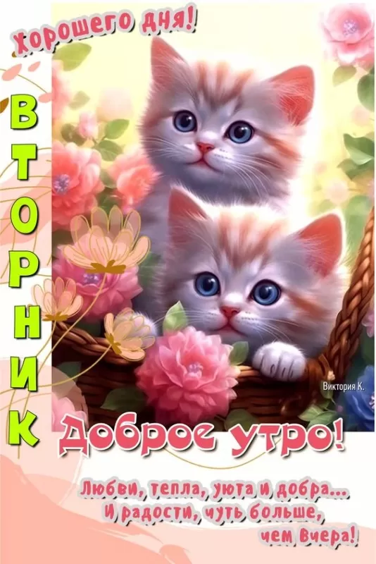 Картинки Доброе утро вторника. Красивые картинки Доброе утро вторника