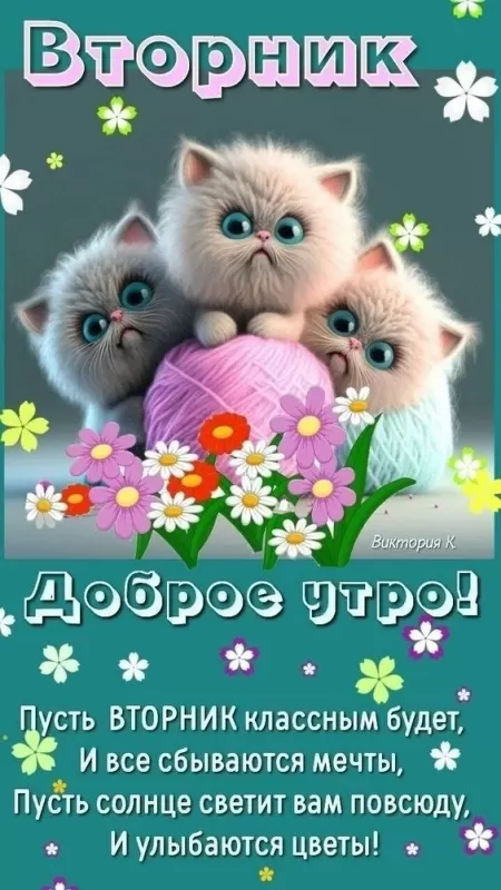 Картинки Доброе утро вторника. Прикольные картинки "Доброе утро вторника"