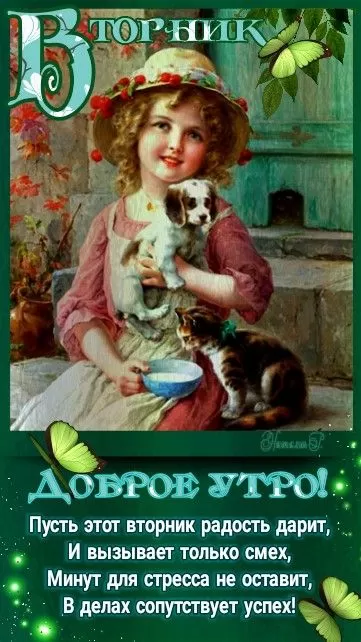 Картинки Доброе утро вторника. Доброе утро вторника - картинки позитивные