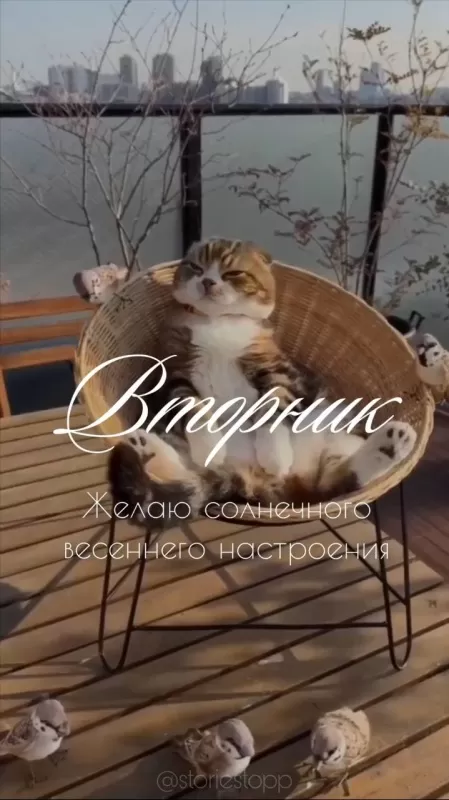 Картинки Доброе утро вторника. Доброе утро вторника - картинки позитивные