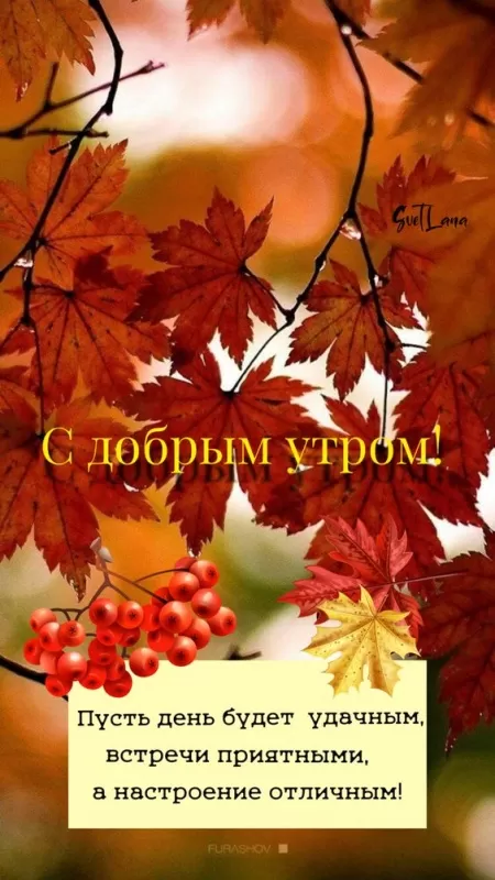 Картинки Доброе осеннее утро. Доброе осеннее утро - картинки с пожеланиями