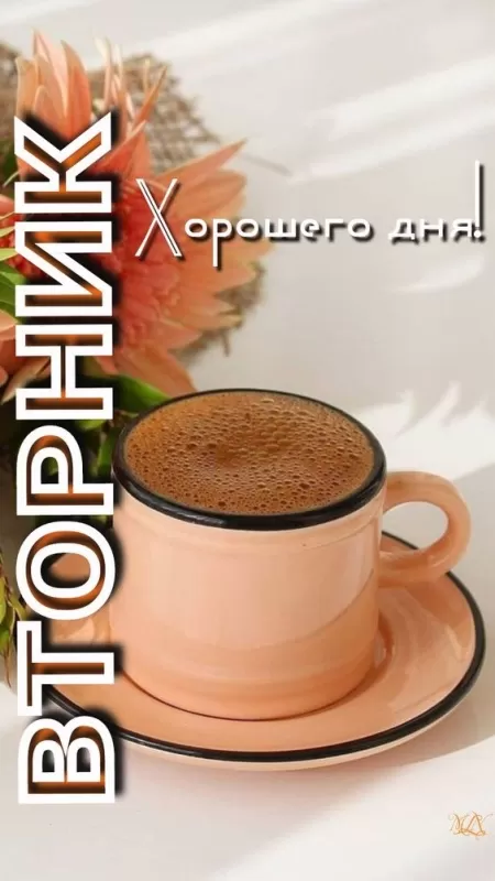 Картинки Доброе утро вторника. Красивые картинки Доброе утро вторника