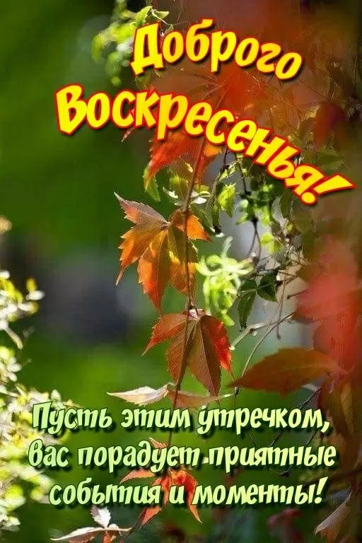 Картинки Доброе утро воскресенья. Доброе утро воскресенья - картинки с пожеланиями