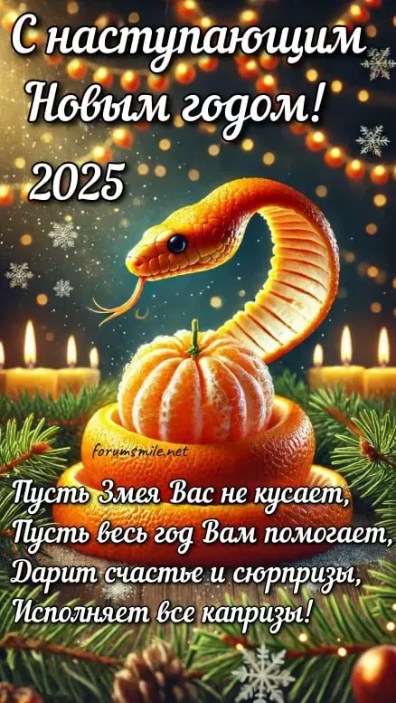 Картинки с Наступающим Новым годом 2025. Картинки с Наступающим Новым годом Змеи