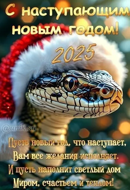 Картинки с Наступающим Новым годом 2025. Картинки с Наступающим Новым годом Змеи