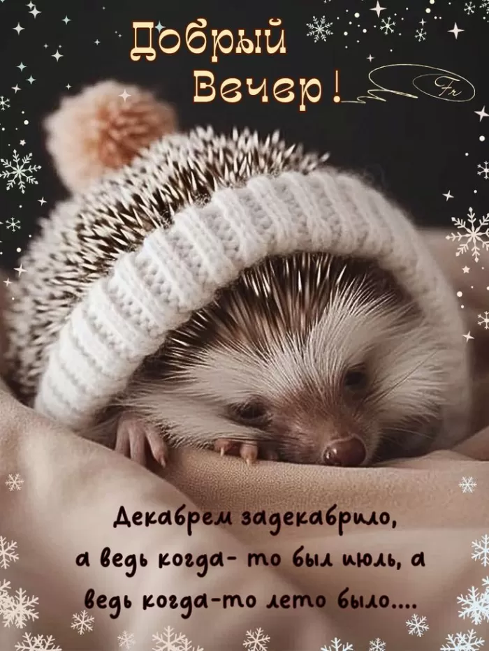 Красивые картинки Добрый зимний вечер . Добрый зимний вечер - картинки с пожеланиями