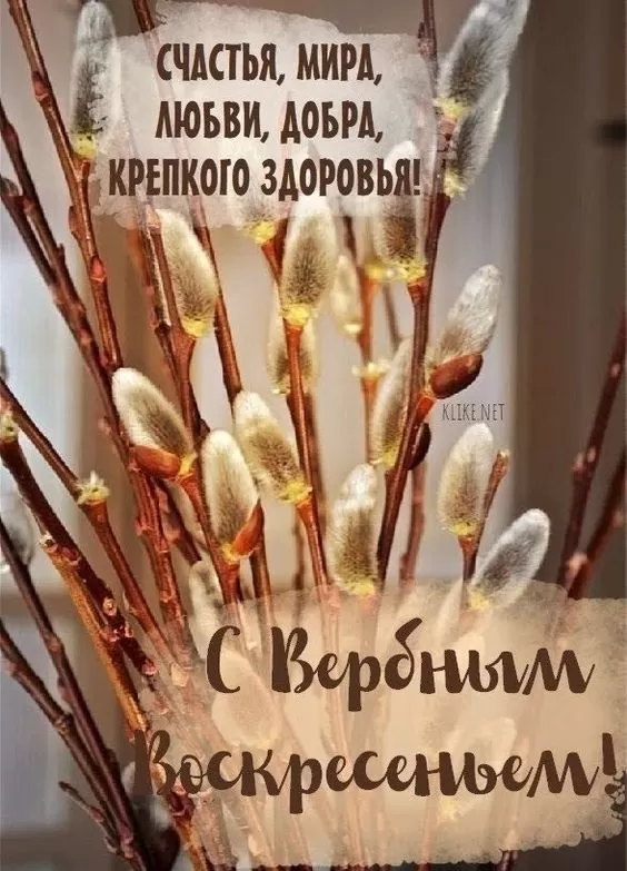 Красивые картинки с Вербным Воскресеньем 2025. С Вербным Воскресеньем - картинки с пожеланиями