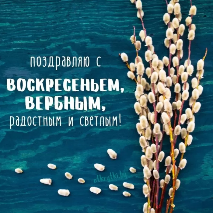 Красивые картинки с Вербным Воскресеньем 2025. Вербное Воскресенье - картинки с поздравлениями