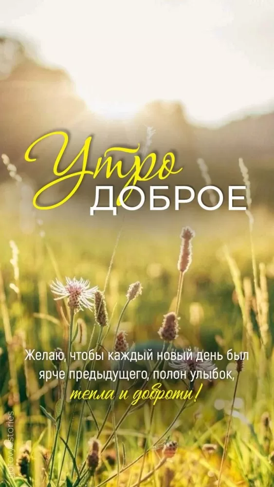 Картинки с Добрым летним утром. Красивые картинки Доброе летнее утро