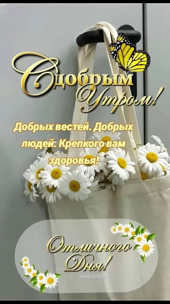 Картинки с Добрым летним утром. Красивые картинки Доброе летнее утро
