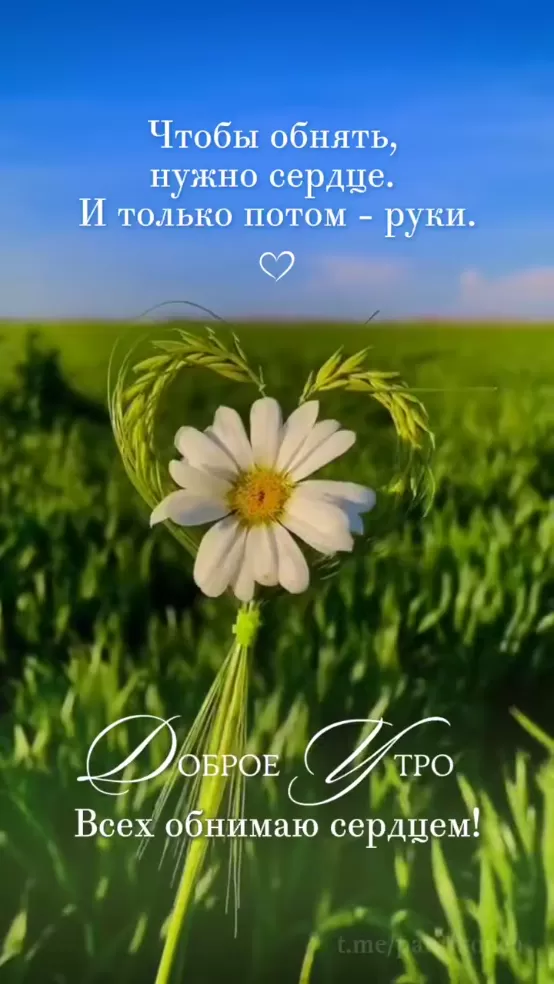Картинки с Добрым летним утром. Красивые картинки Доброе летнее утро