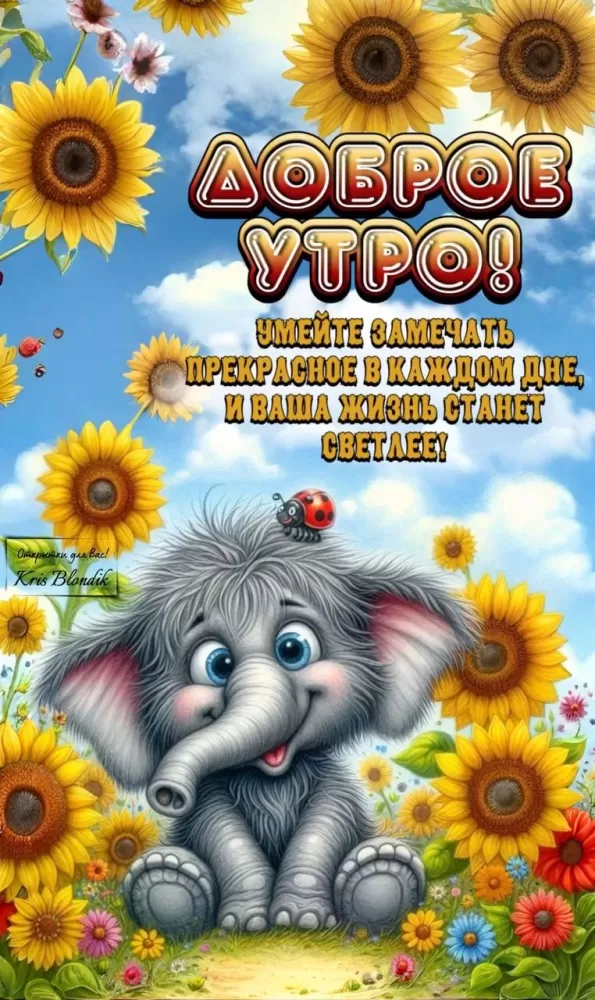 Картинки с Добрым летним утром